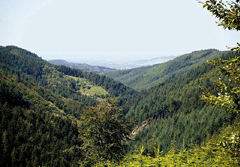 3 landschaft_hengsthof_KL02