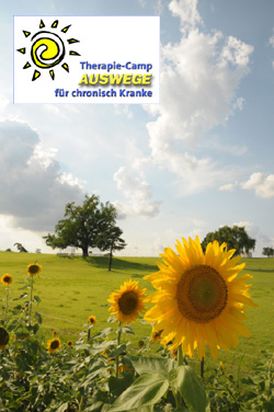 Camp Sonnenblume 250p breit Camp Sonnenblume 250p breit